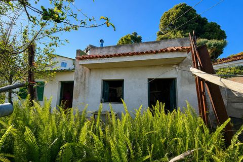 Finca in La Florida, Tenerife - Foto 5